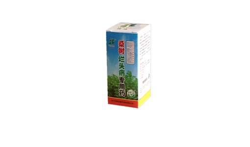 桑樹(shù)爛頭病